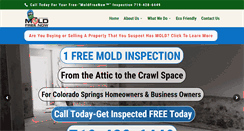 Desktop Screenshot of moldfreenow.com